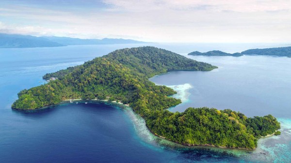 whole Island